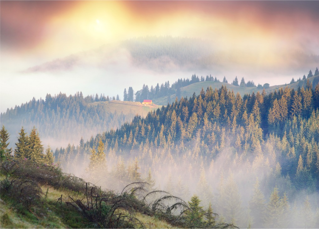 4 Ways to Improve Your Foggy Landscape Photography image 