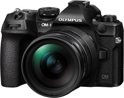 APS C vs MFT Which Camera System is Best for You image 