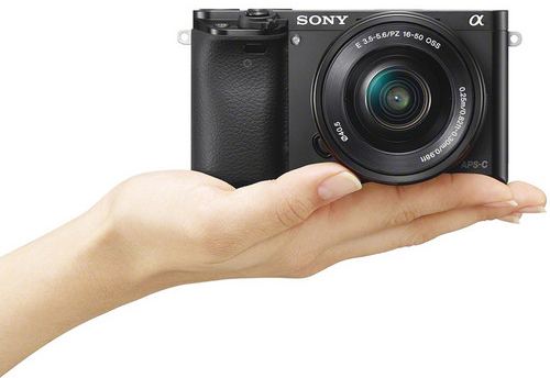 Thoughts on Sony Sony APS C Cameras