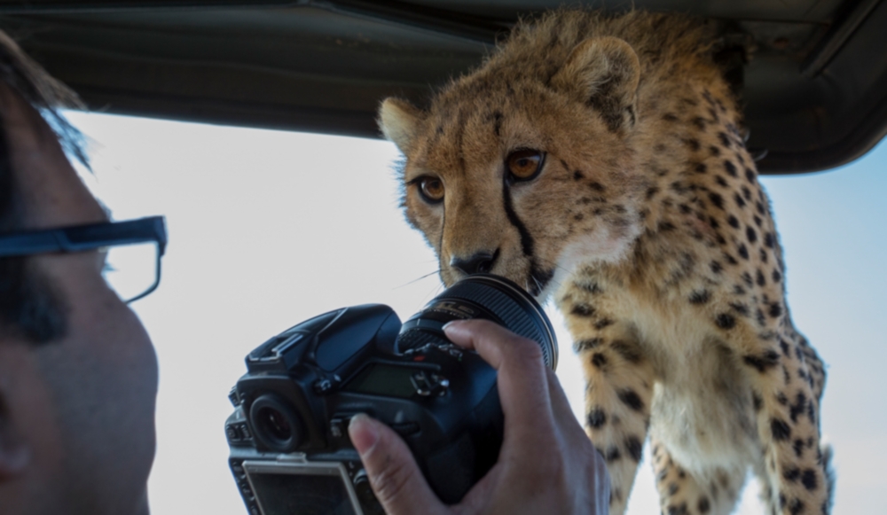 Camera for Wildlife Photography Photo Features