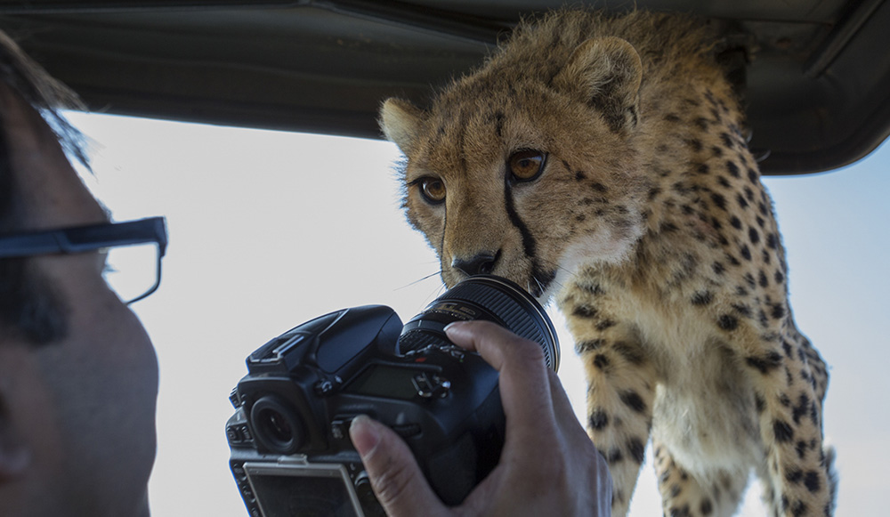 bryan and cheetah image 