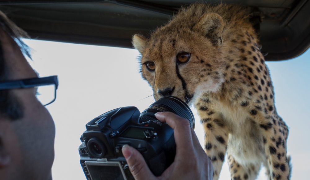What is the Best Wildlife Photography Lens image 