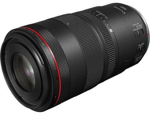6 Reasons You Need a Canon RF 100mm Macro Lens in Your Camera Bag image 