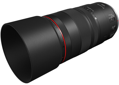 Final Thoughts on the Canon RF 100mm Macro Lens image 