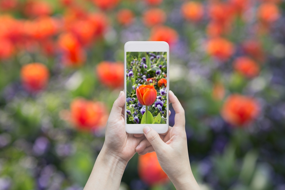 Select High Quality Smartphone Photos image 