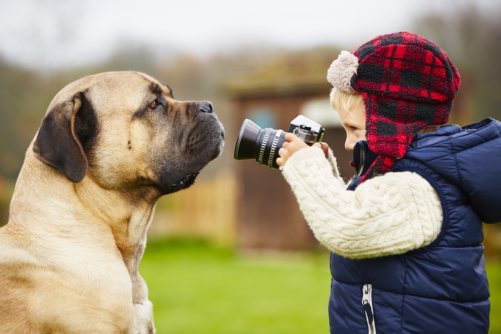 Dog Photography Equipment image 