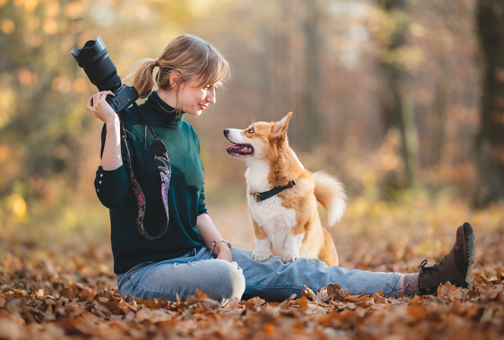 Tips for Working with Dogs image 