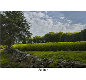 after_foliage image 