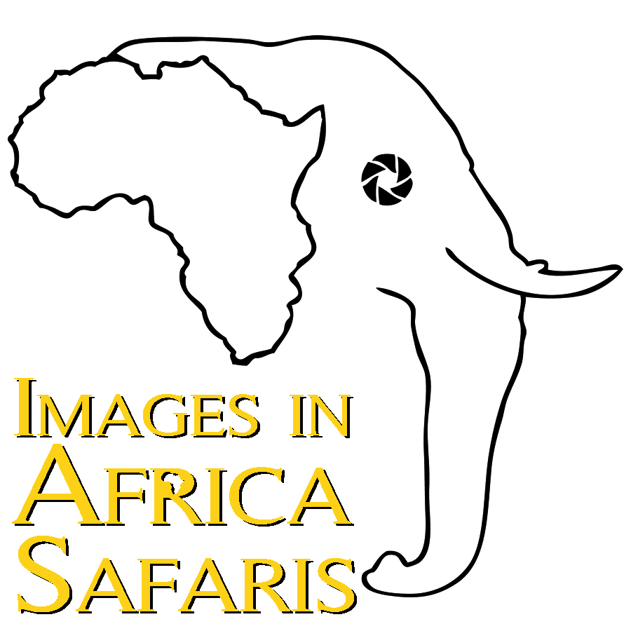 Images in Africa Safaris logo-yellow3x3