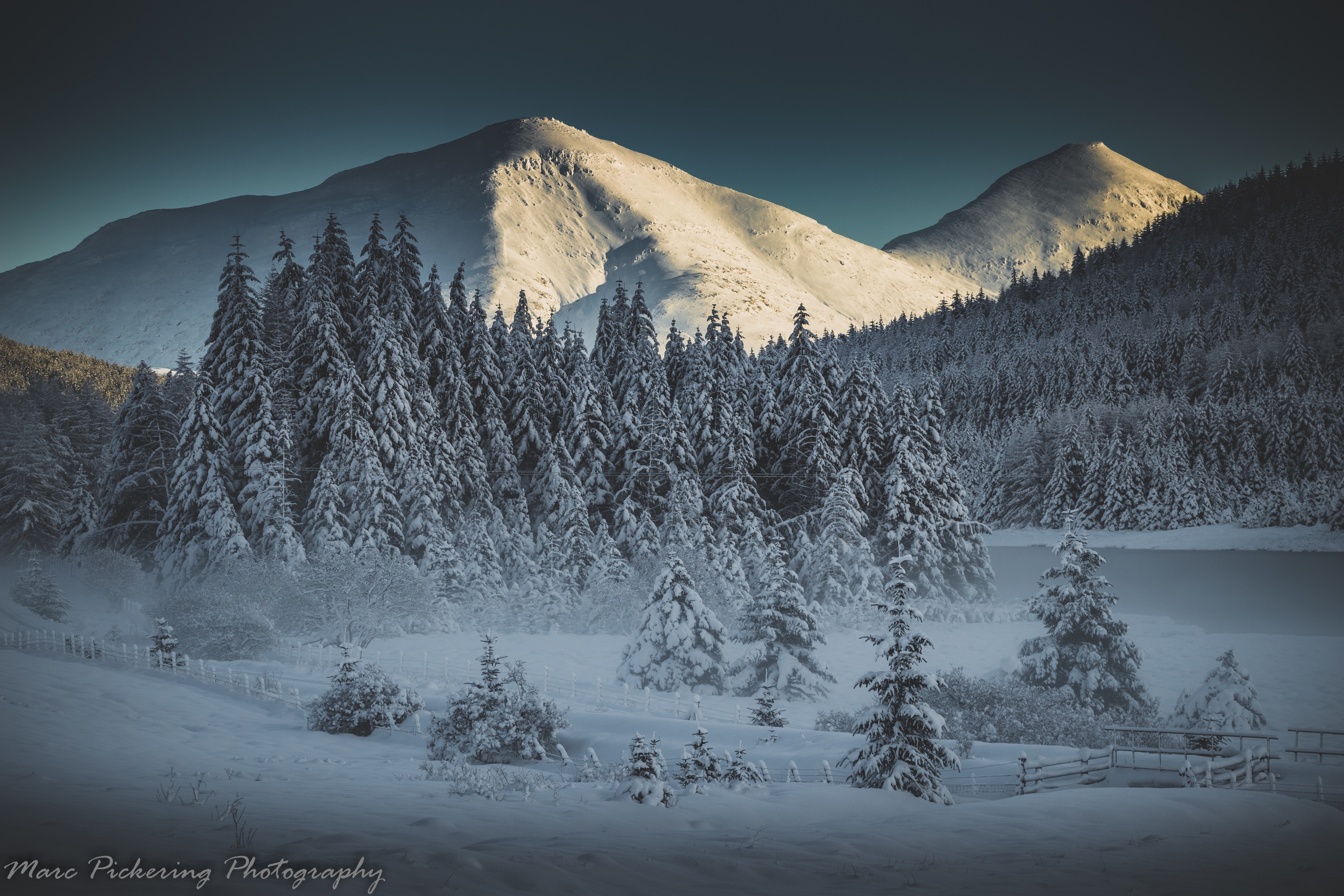 Winter Wonderland at daybreak