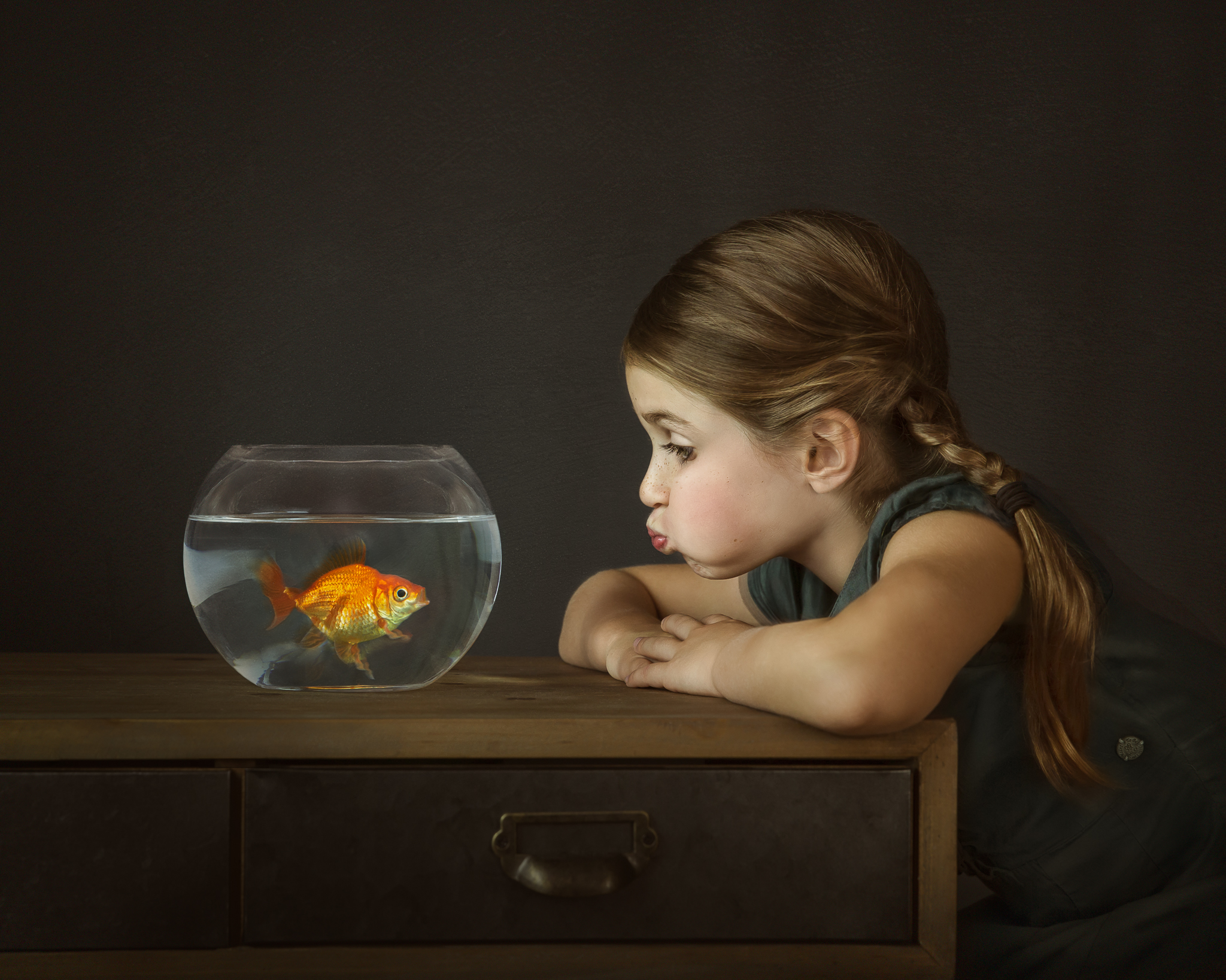 alana-lee-photo-gus the goldfish