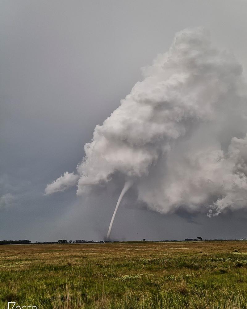 South Dakota White Tornado