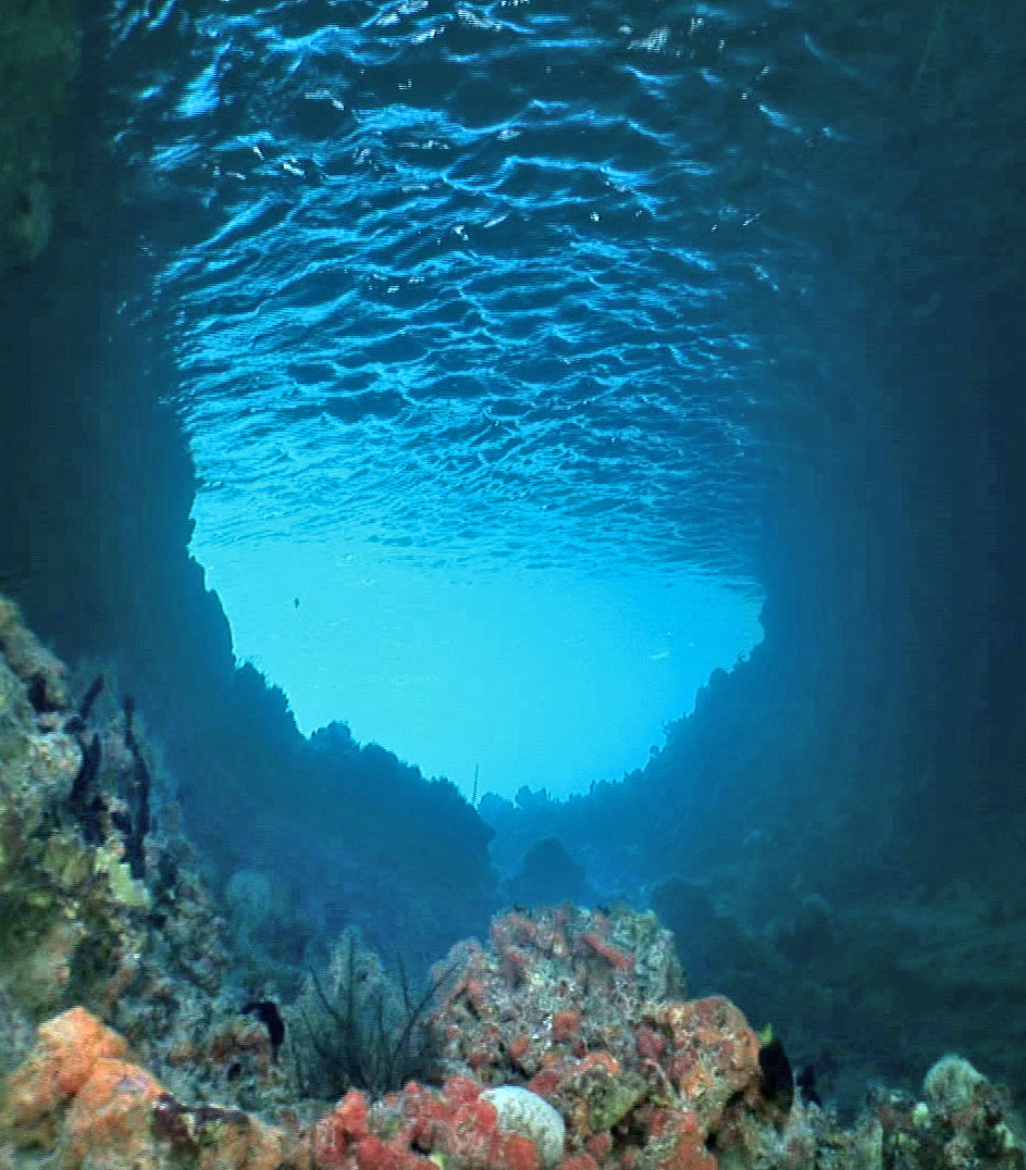 underwater1 image 